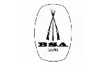 BSA